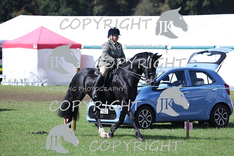 APP_3484 - Class 12 M&M ridden