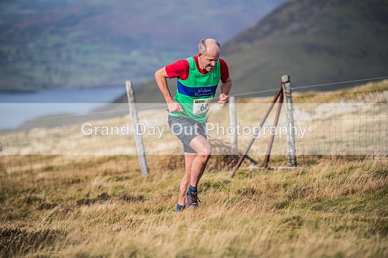 Buttermere-236 - Buttermere Shepherds Meet Fell Race Sunday 27th October 2024