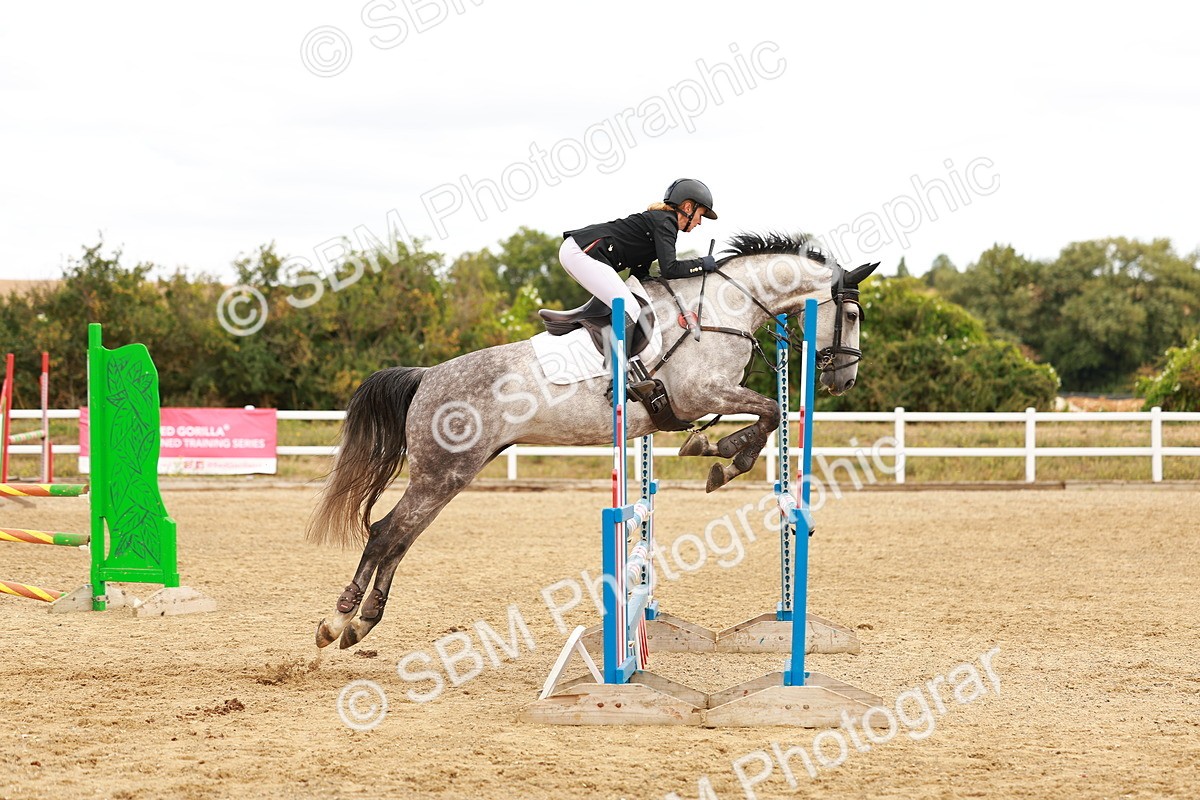 SBM_005557 - Class 2 - Senior British Novice - 90cm