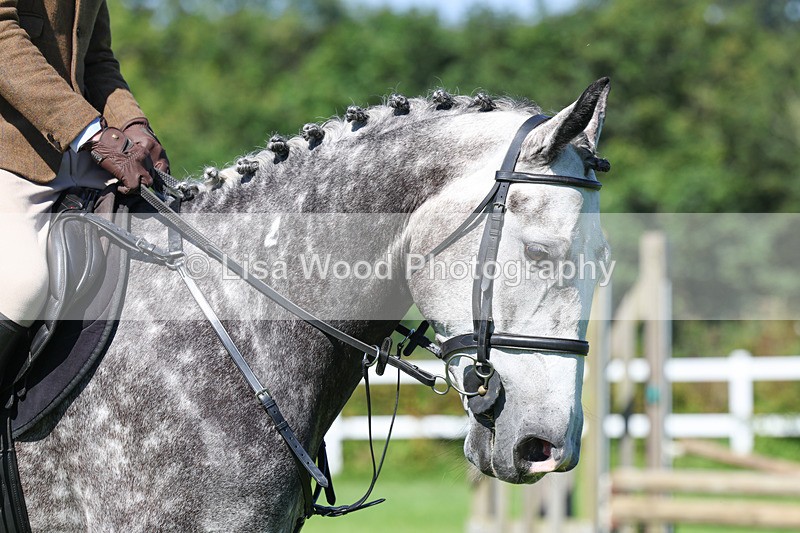 3E7A8440 - Class 4: Novice working Hunter