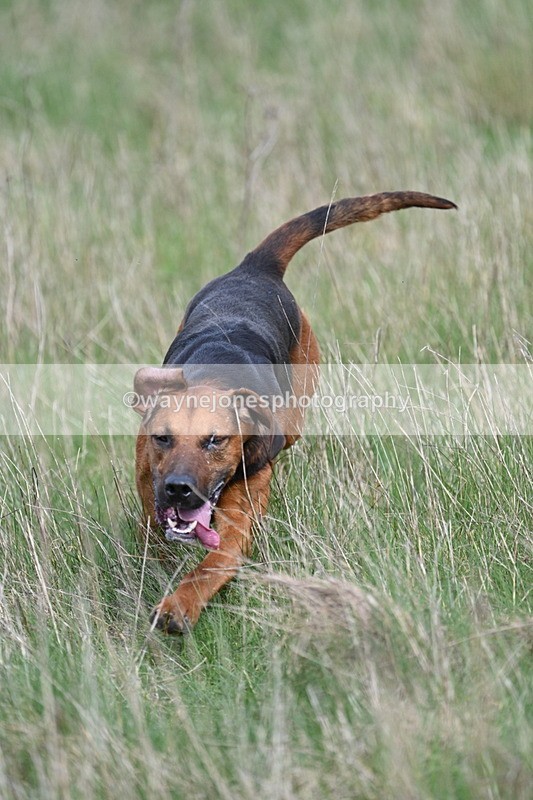 WJ7_8039 - Line 2 A camera