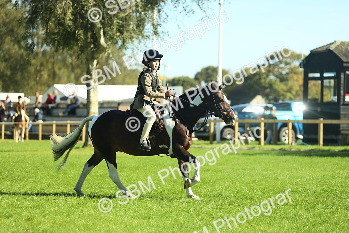 SBM_37525 - S29 - Novice & Newcomers Working Hunter Pony