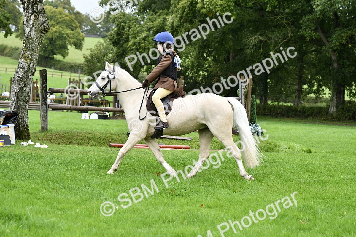 SBM_35460 - S30 - Nursery Stakes Working Hunter Pony