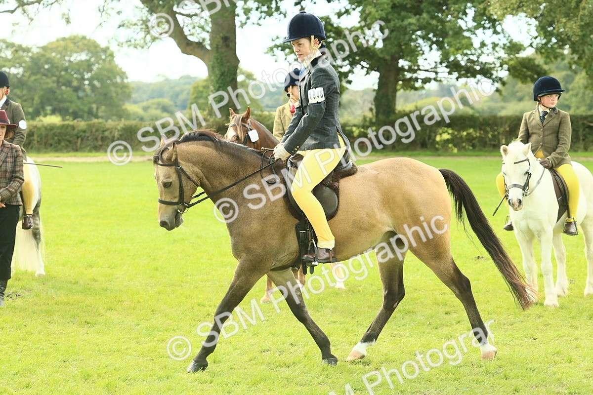 SBM_69833 - S59 - Mountain & Moorland Ridden Small Breeds