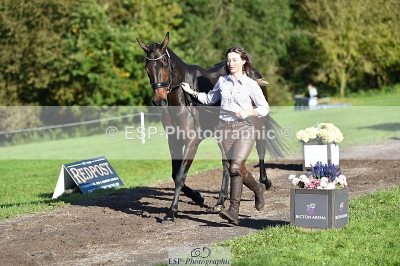 231022-102506-22463 - 435-TIMASSINI-Lana.Bennett-TrotUp+SJ