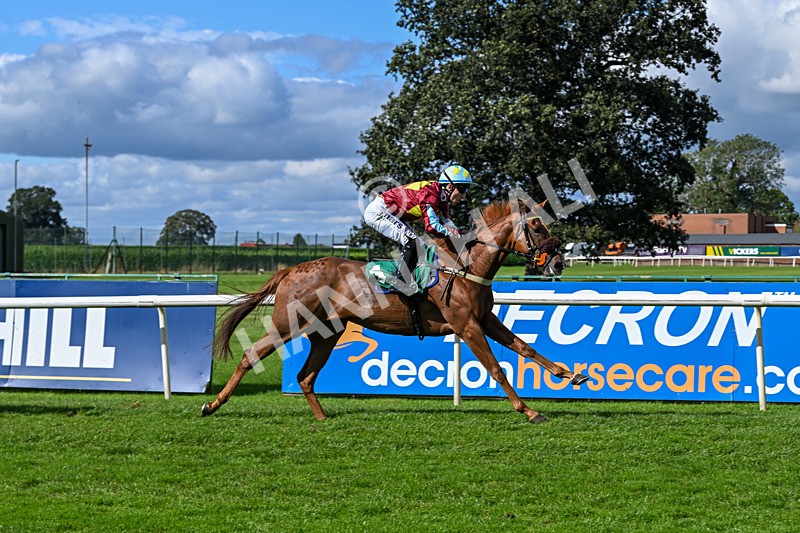 140926-Race 1-Satyress-6646 - Race 1 2.21pm Constant Security Services Apprentice Handicap