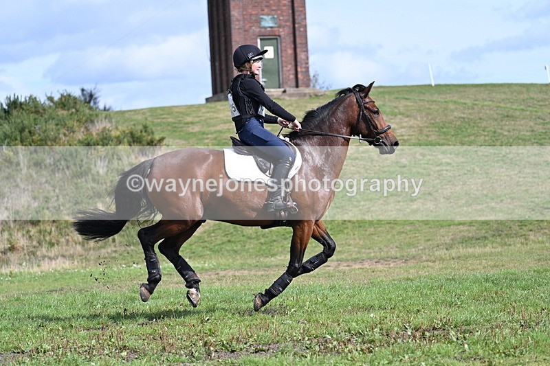 WJ7_1912 - Time 13:17 to 13:53