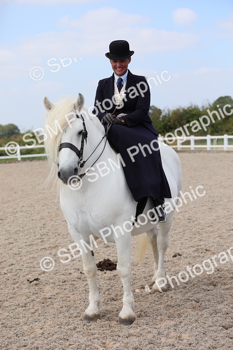 SBM_14617 - Class 211 Best Side Saddle Horse/Pony