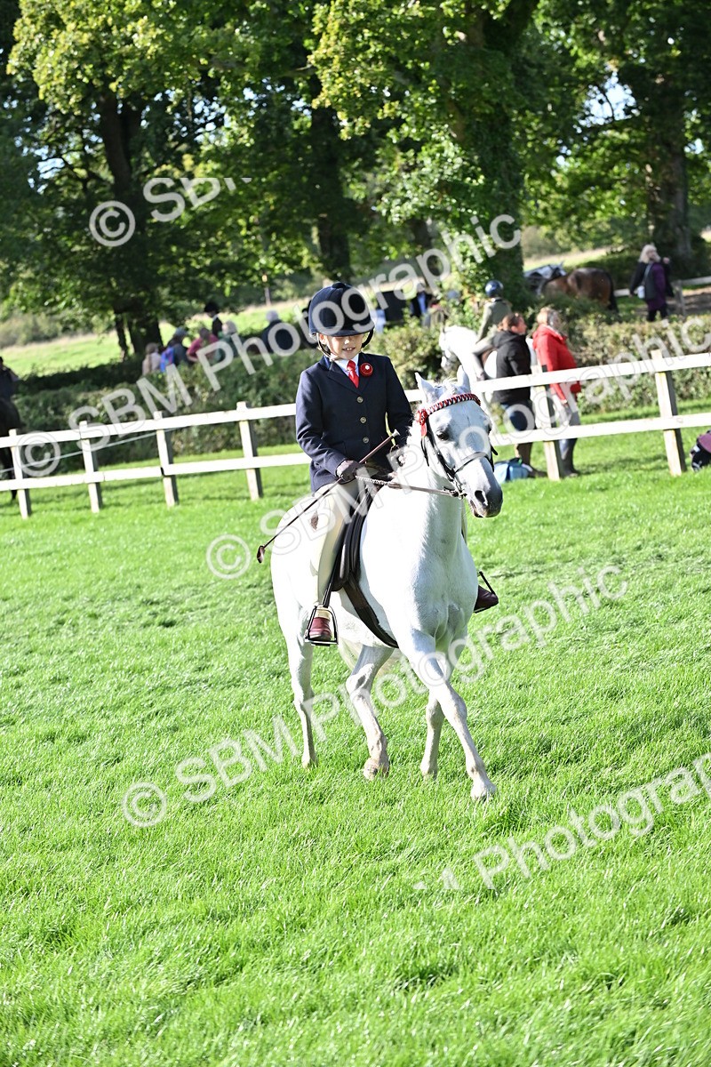 SBM_51253 - S22 - First Ridden show and show Hunter Pony