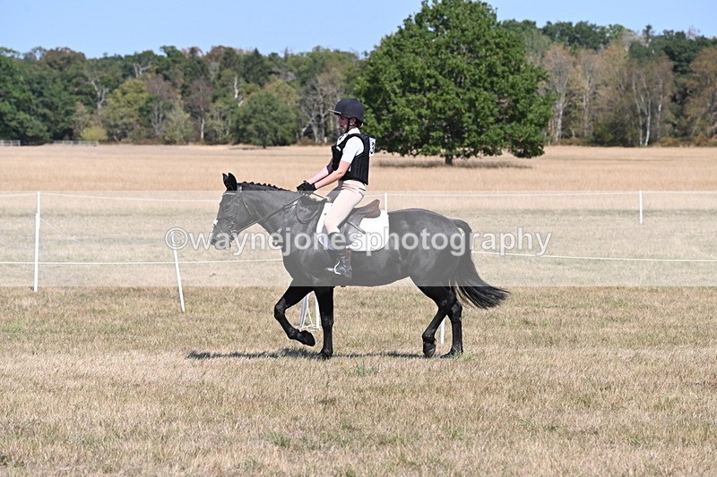 WJ6_8825 - Class 38 Ridden Riding Horse/Pony