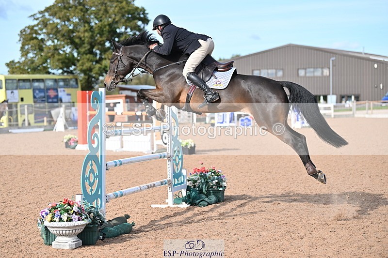 231015A-140952-08522 - Cls 31 Blue Chip Grade B & C Champ Quali