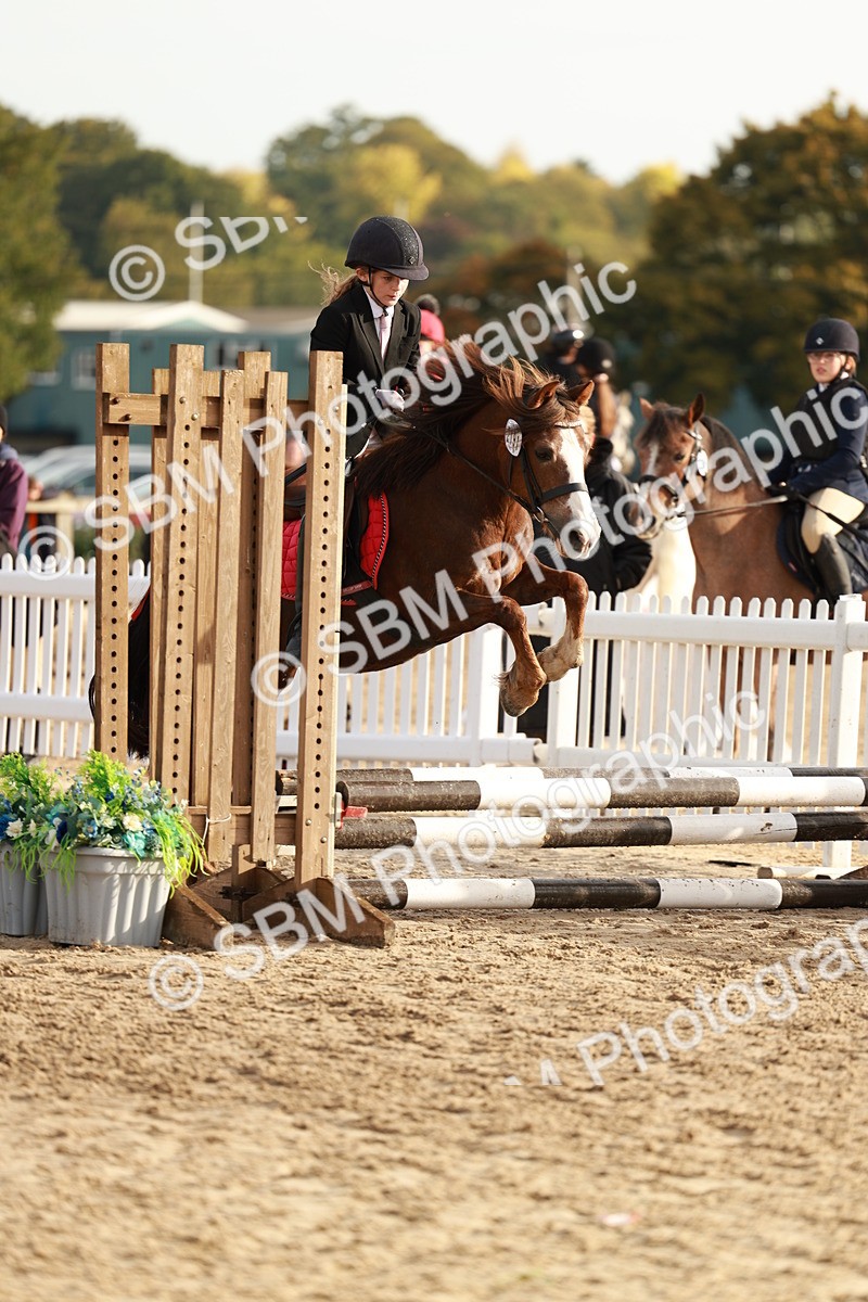 SBM_55608 - J11 - Junior Pony 50cm Championship