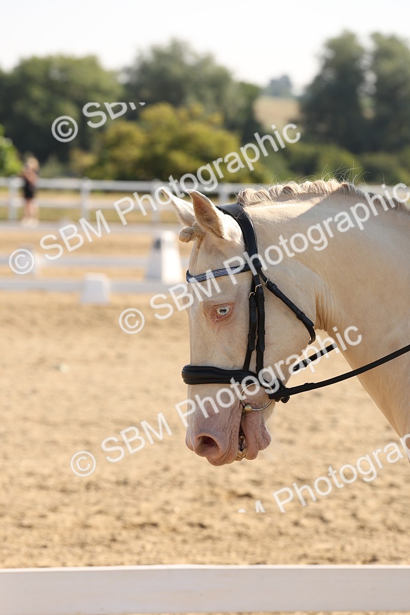SBM_002812 - Prelim 4 - Warm Up