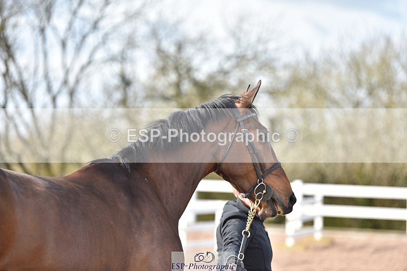 240417A-170020-01335 - 4pm to Finish