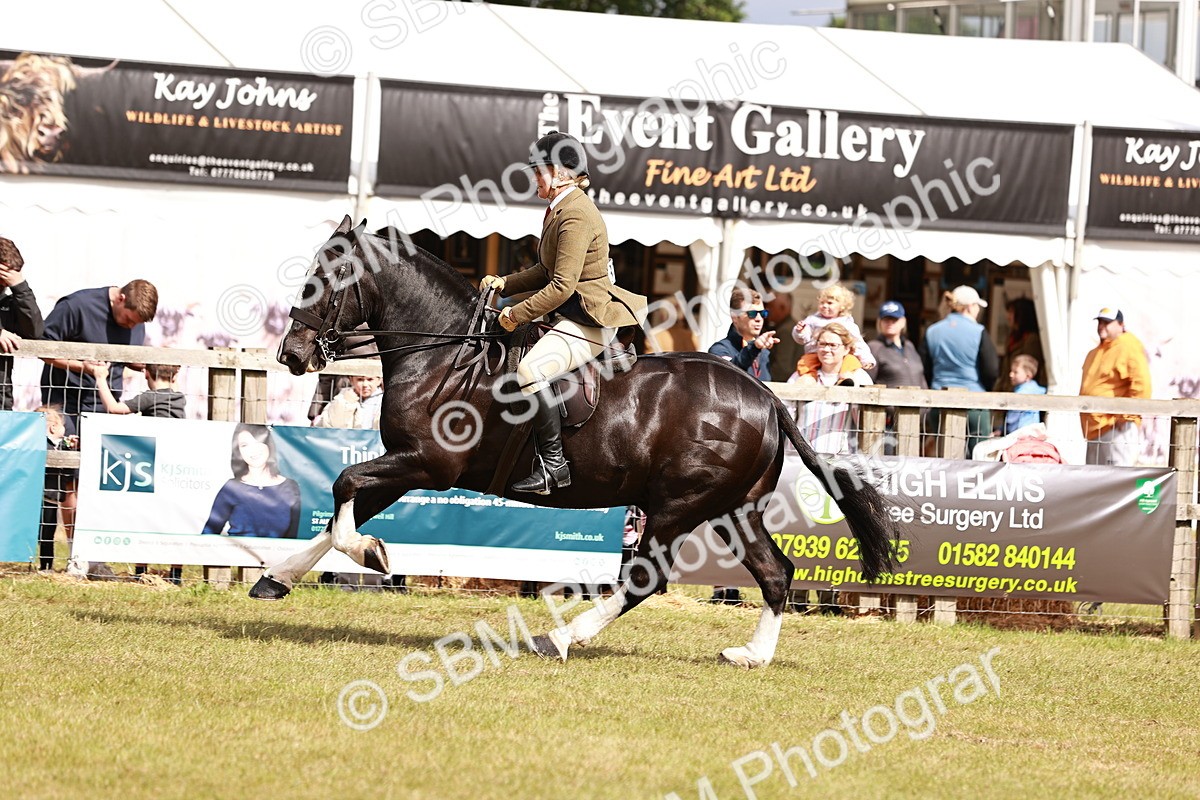 SBM_13117 - Class 85-87 - RIHS Cobs