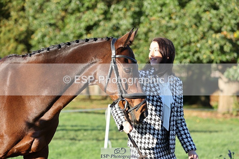 241027-083353-14664 - 390-Pippa.Howell-Phippard-NO.LIMIT.II