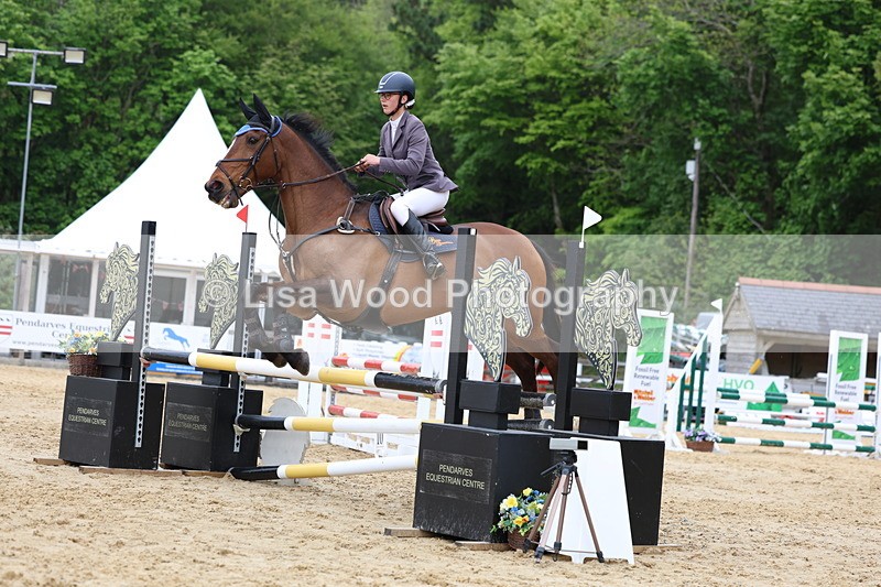 3E7A6490 - Class 4: Senior British Novice/90cm open