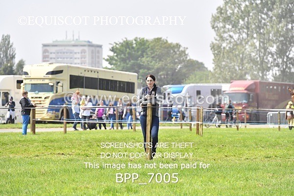 BPP_7005 - CLASS 3 RHS Fox Champ Qual (1.20m)