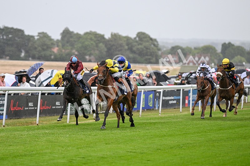 040725-Race 3-Orbaan-4663 - Race 3