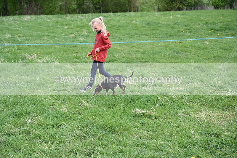 WJ6_8099 - Class 2 Best Pedigree