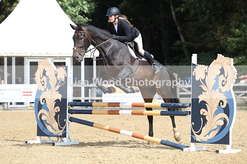 3E7A9135 - Class 9: Senior British Novice/90cm open