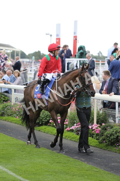 yr20082022r2-24 - Race 2 2.35pm Sky Bet Melrose Stakes