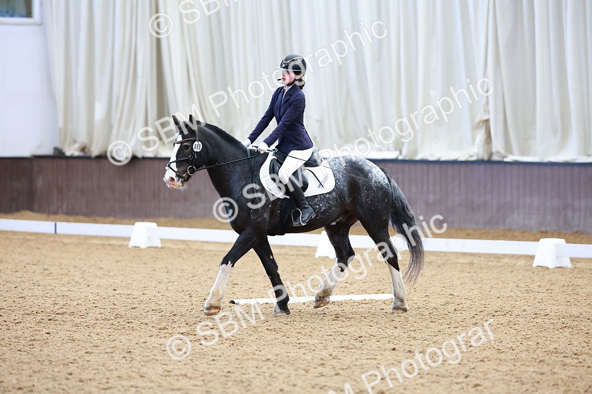 SBM_000209 - Class 3 -  CT Prelim 2/60cm
