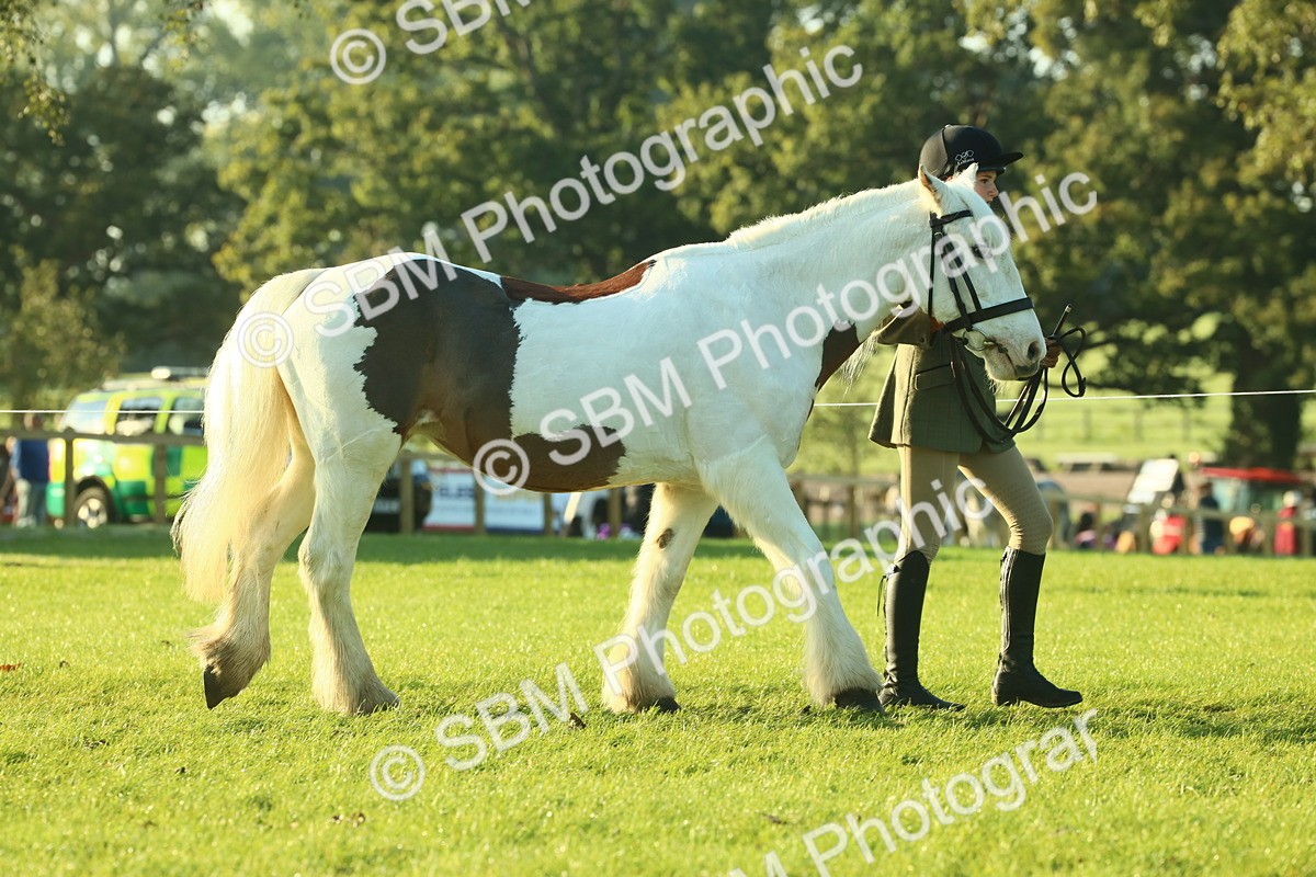 SBM_57289 - S37 - Starters In Hand Showing