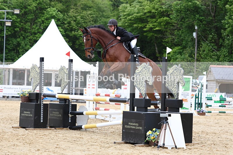 3E7A5993 - Class 4: Senior British Novice/90cm open