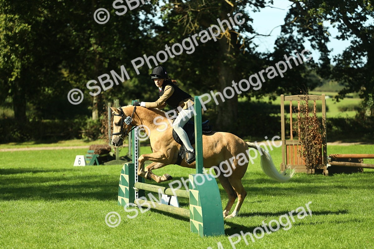SBM_37484 - S29 - Novice & Newcomers Working Hunter Pony