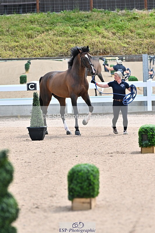 240718A-105236-00873 - Trot Up 11am to 12pm