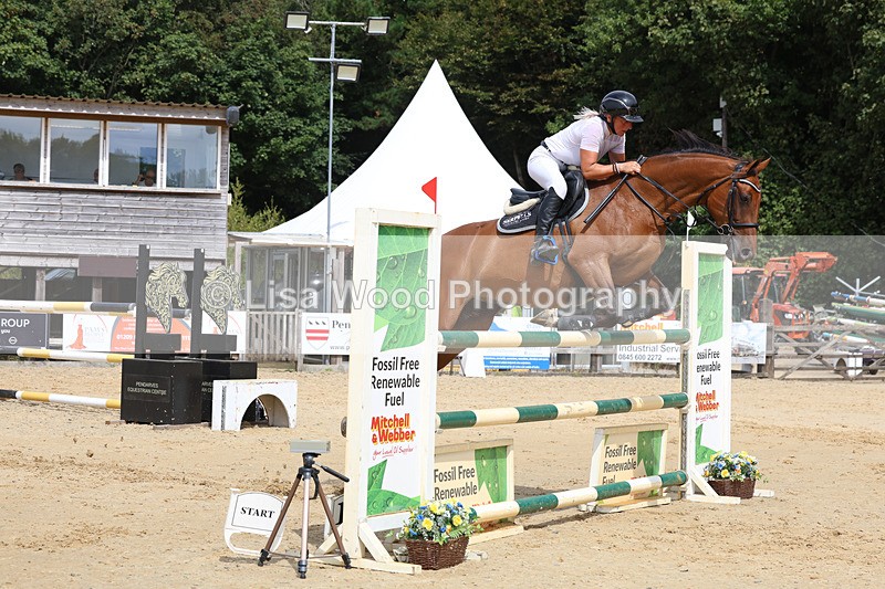 3E7A4280 - Class 8: Senior Foxhunter/1.20 open