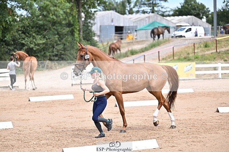 250716-130839-00359 - Trot Up 12.30 to 1.30