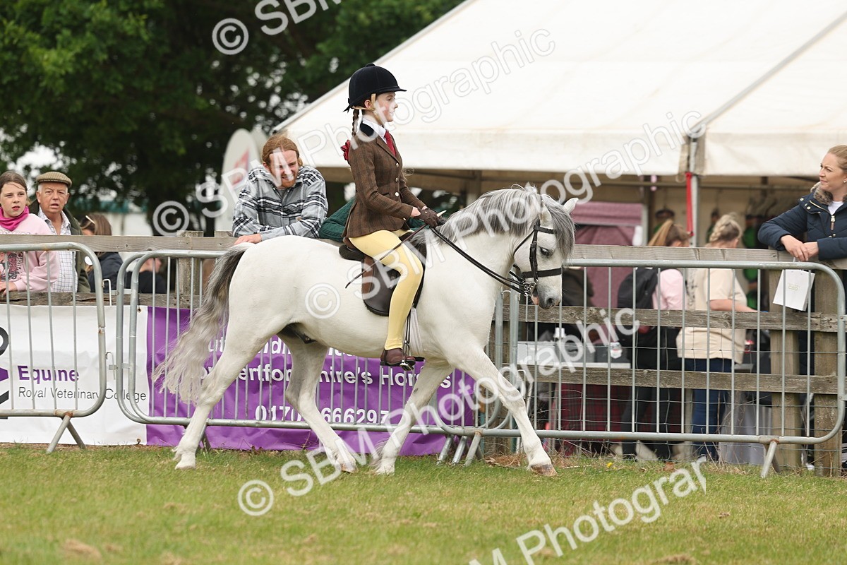 SBM_07086 - Class 76-77 - Ridden M&M Welsh Ponies