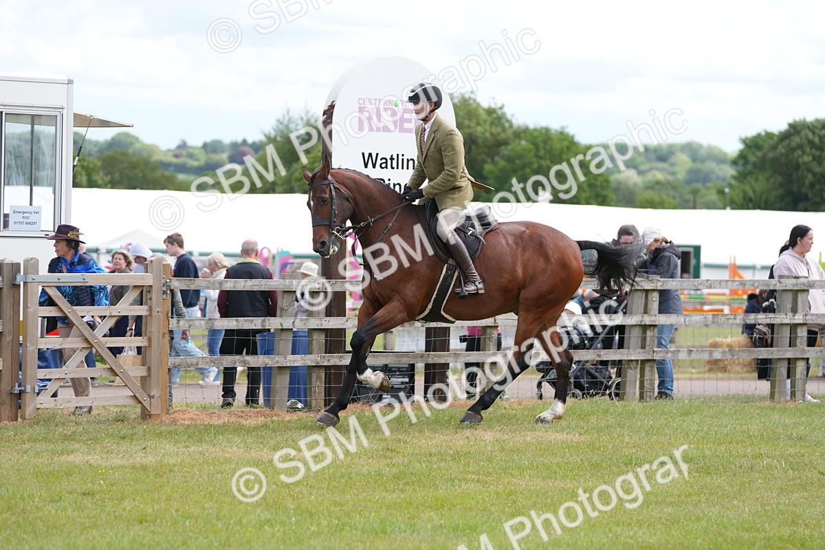 SBM_15012 - Class 100-102 - RIHS Working Hunter