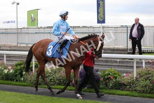 yr24092021r8-1 - Race 8 5.25pm William Hill Build Your Own Odds Apprentice Stakes