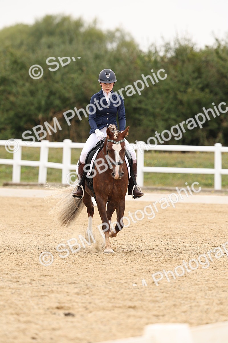 SBM_01043 - Class 8 - Novice 27 Champs