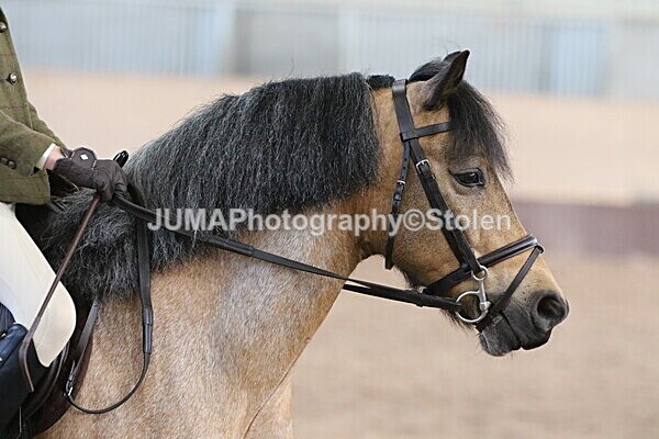 SIAL1375 - Indoor Classes