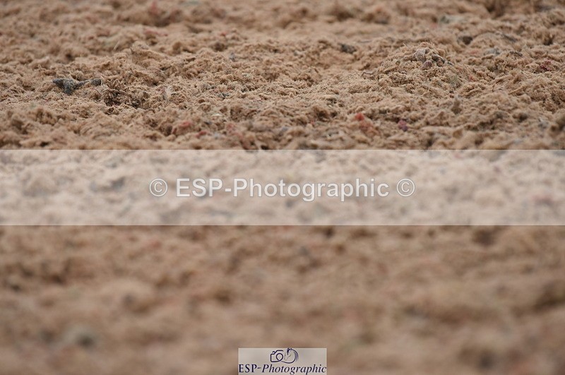 230708A-121906-01710 - Prelim 7