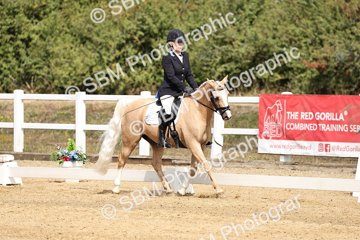 SBM_018208 - Class 16 - Novice 5 - 11.12-12.01