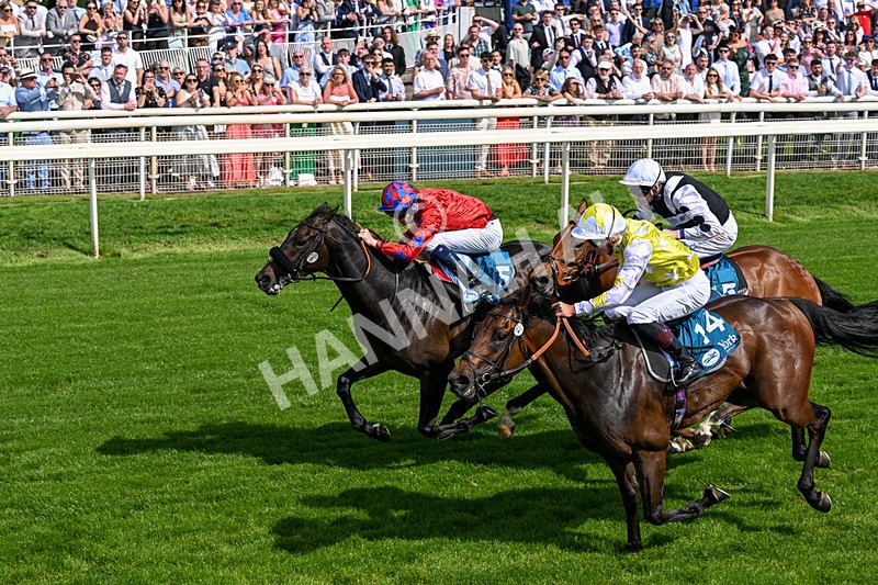 230526-Race 5-Reliable Ricki-0564 - Race 5 15.50pm Reg Bond 'Always And Forever' Handicap