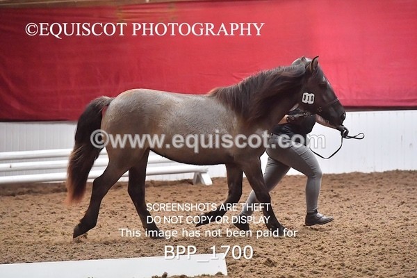 BPP_1700 - MORNING 9AM - 12PM