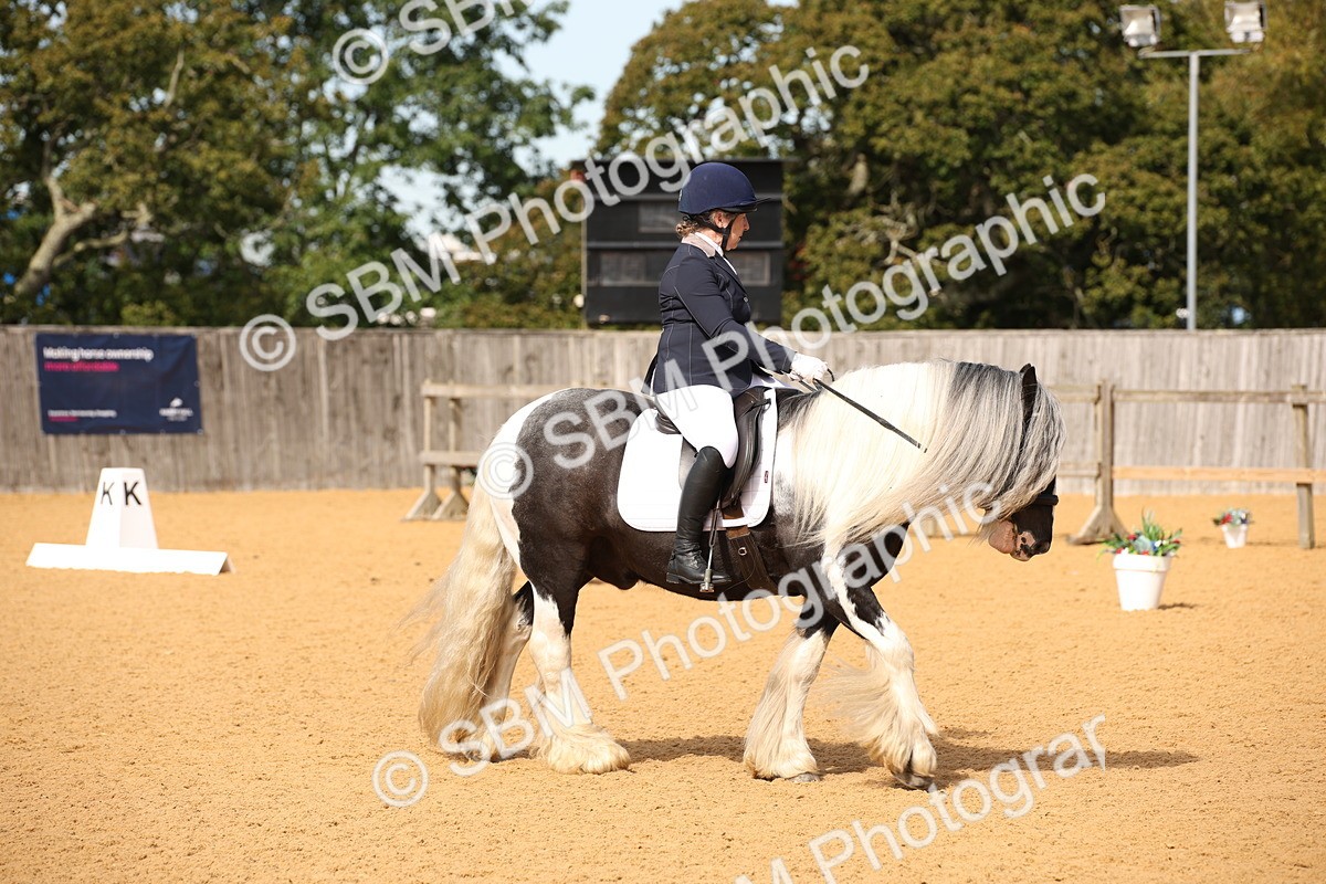 SBM_21765 - D5 - Small Tour Championship - Intro C