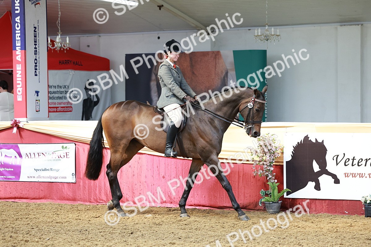 SBM_14879 - Class 108 - Ridden Retired Racehorse