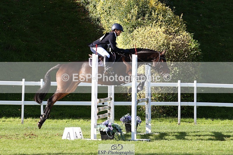 231022-144305-29394 - 496-HIGHDALE.AUTUMN.SUNRISE-Vicky.Stacey-TrotUp+SJ