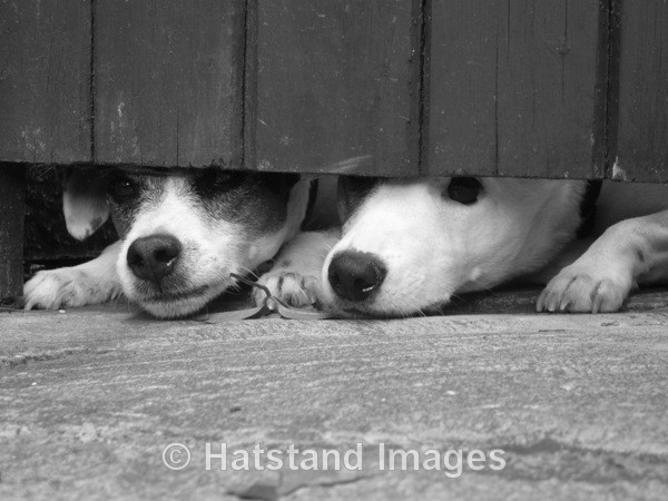 Can we play? - nature