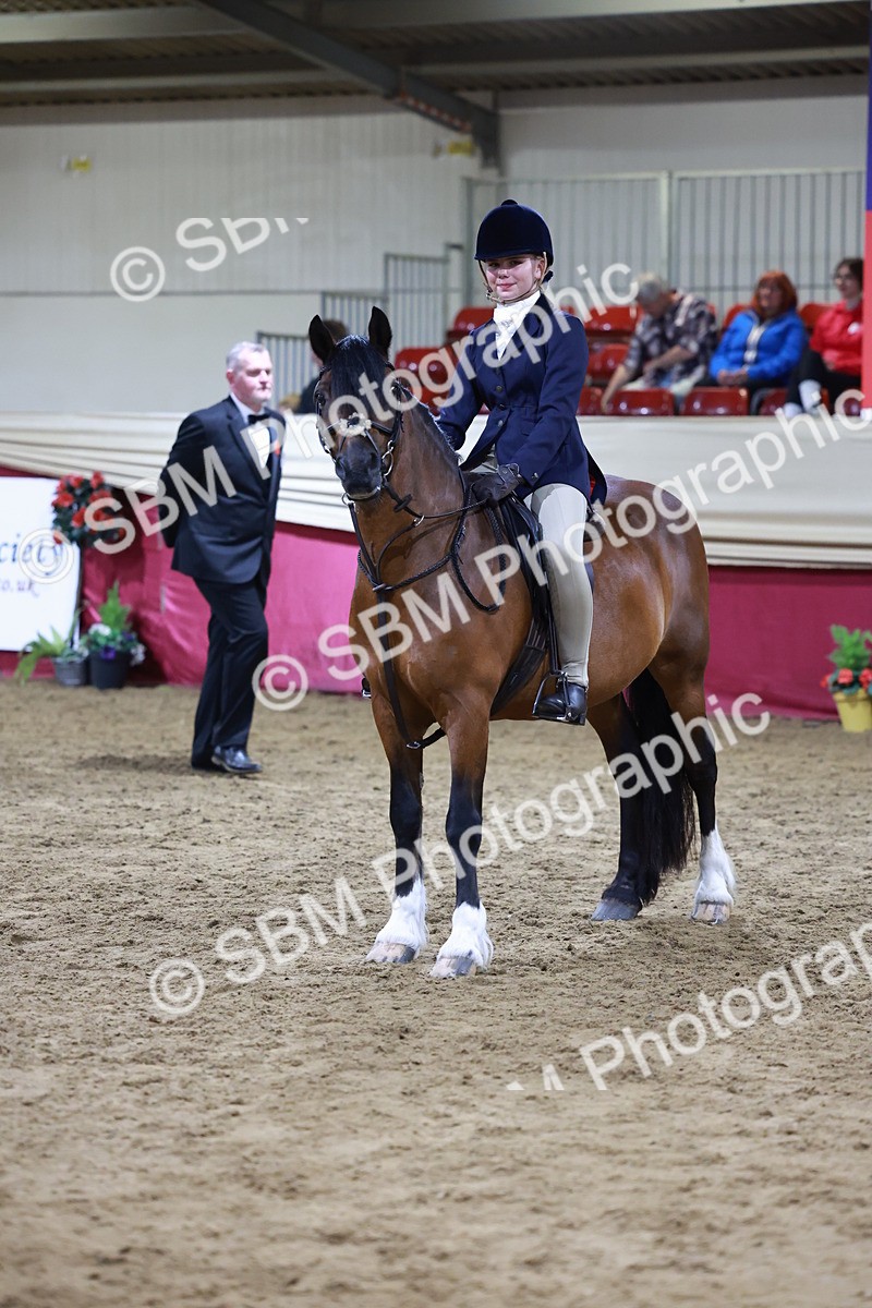 SBM_21288 - Class S - Style & Performance Champ