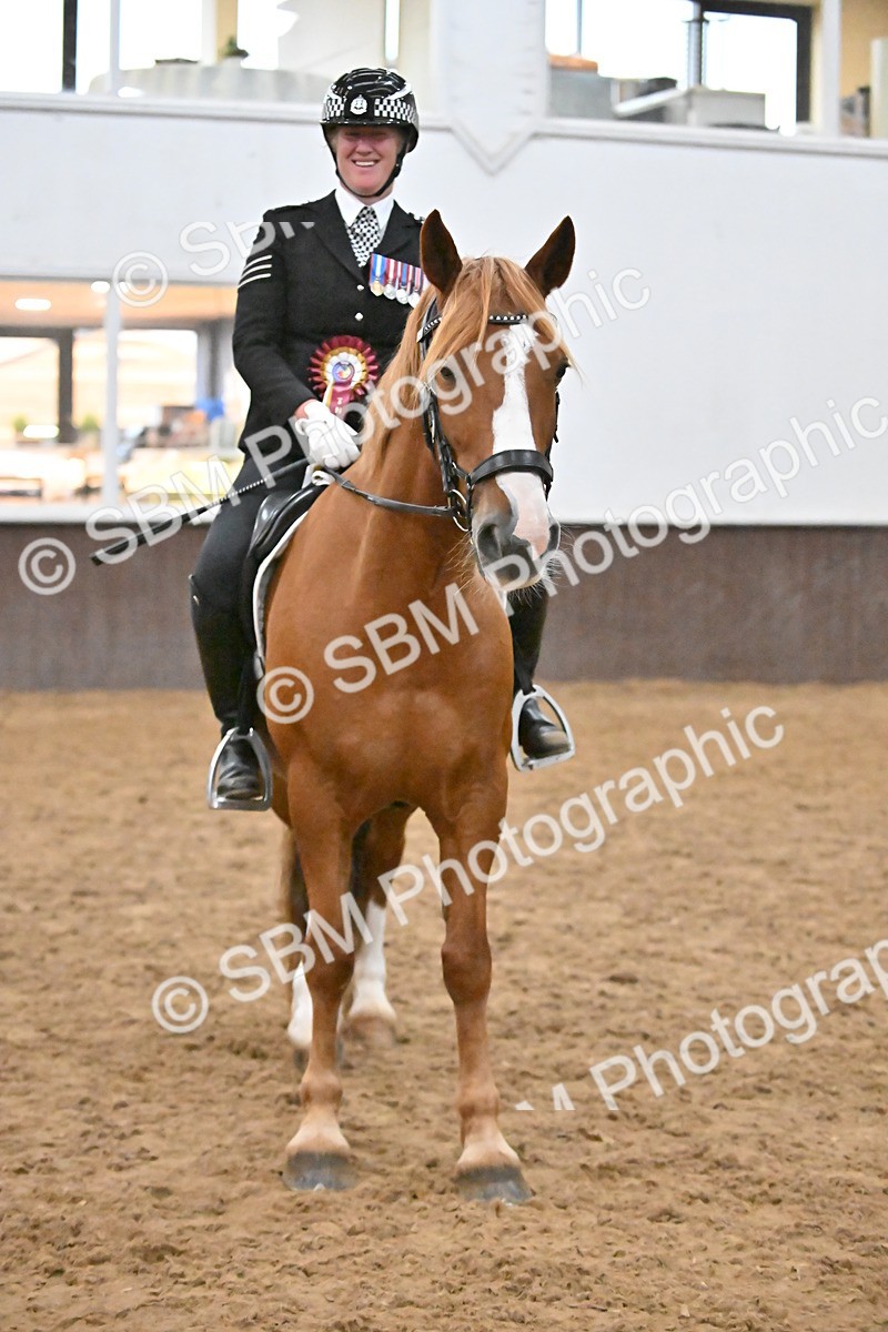 SBM_003043 - Class 37,38 - UKPSAF Performance Horse & Pony