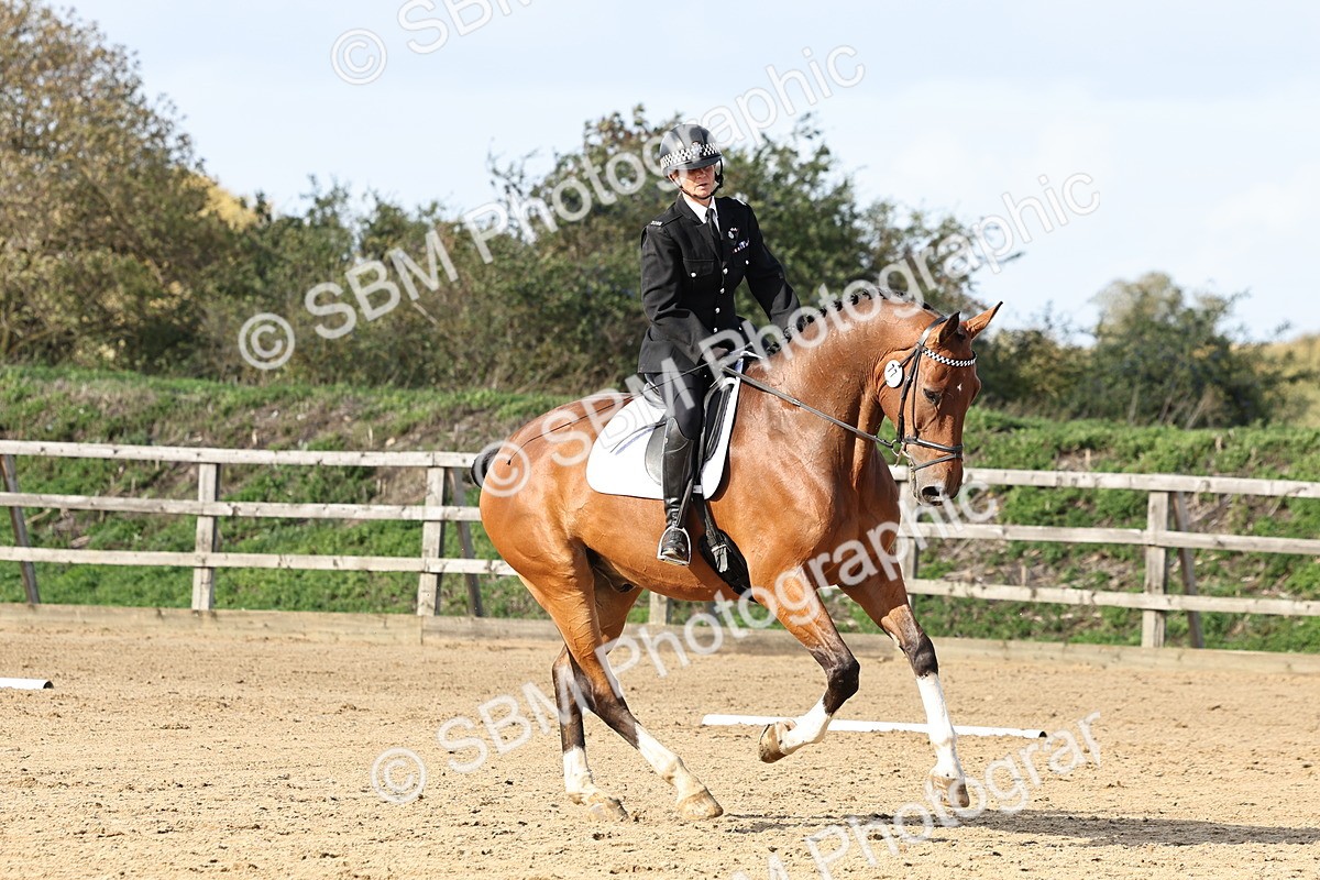 SBM_002240 - Class 50 - Novice 1