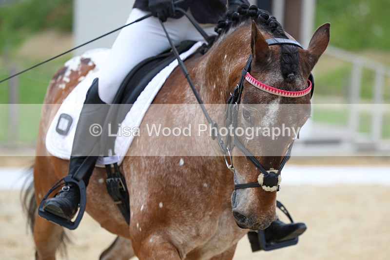 3E7A1846 - Class 3: Prelim 2 2024 Section A